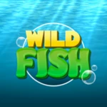 Logo of Wild Fish android Application 